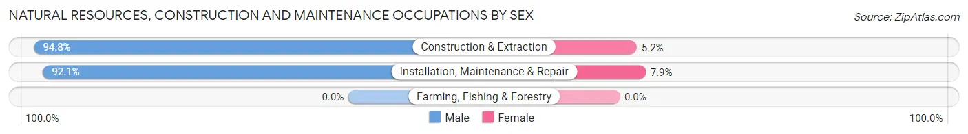 Natural Resources, Construction and Maintenance Occupations by Sex in Zip Code 07503