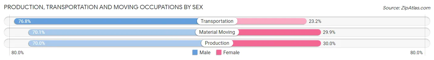 Production, Transportation and Moving Occupations by Sex in Zip Code 07503