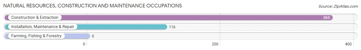 Natural Resources, Construction and Maintenance Occupations in Zip Code 07504