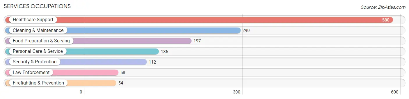 Services Occupations in Zip Code 07504