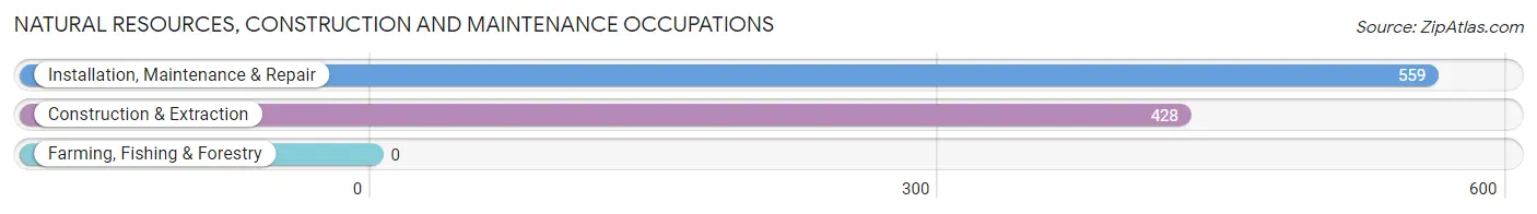 Natural Resources, Construction and Maintenance Occupations in Zip Code 07644