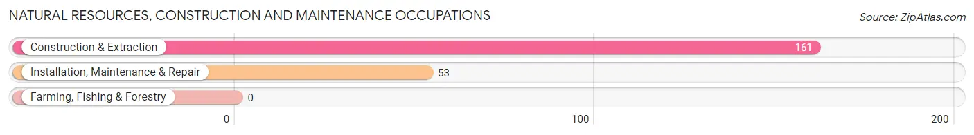 Natural Resources, Construction and Maintenance Occupations in Zip Code 07645