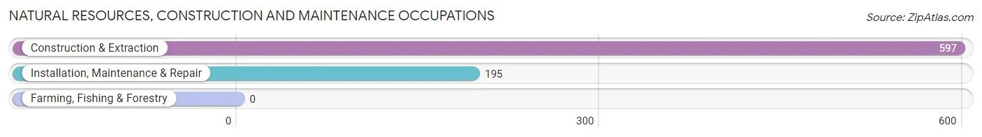 Natural Resources, Construction and Maintenance Occupations in Zip Code 07652