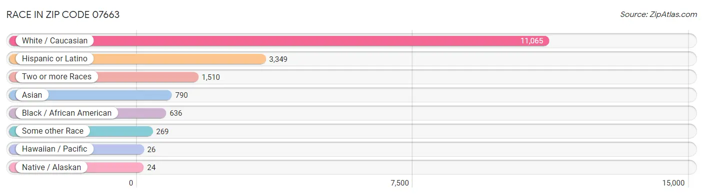 Race in Zip Code 07663