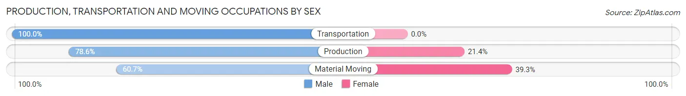 Production, Transportation and Moving Occupations by Sex in Zip Code 07701