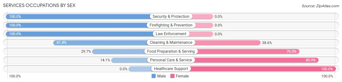 Services Occupations by Sex in Zip Code 07755