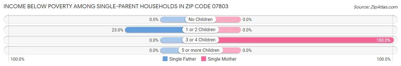 Income Below Poverty Among Single-Parent Households in Zip Code 07803