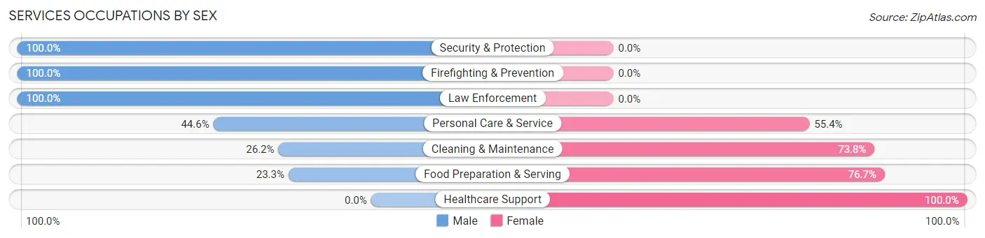 Services Occupations by Sex in Zip Code 07803