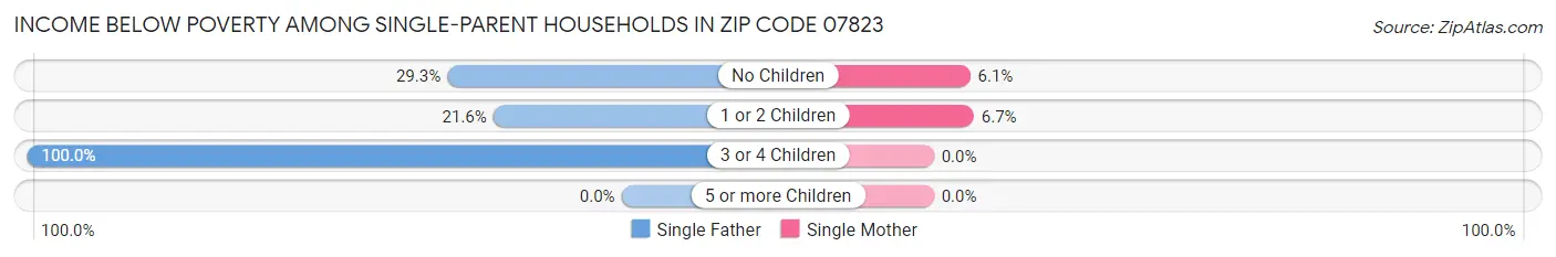 Income Below Poverty Among Single-Parent Households in Zip Code 07823