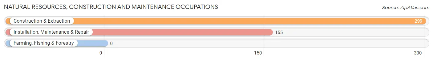 Natural Resources, Construction and Maintenance Occupations in Zip Code 07834