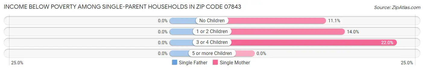 Income Below Poverty Among Single-Parent Households in Zip Code 07843