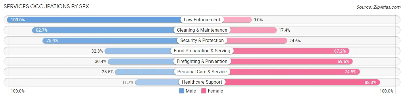 Services Occupations by Sex in Zip Code 07843
