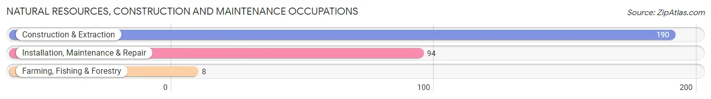 Natural Resources, Construction and Maintenance Occupations in Zip Code 07848