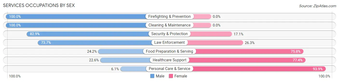Services Occupations by Sex in Zip Code 07849