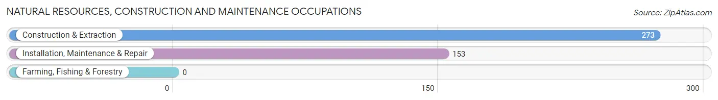 Natural Resources, Construction and Maintenance Occupations in Zip Code 07850