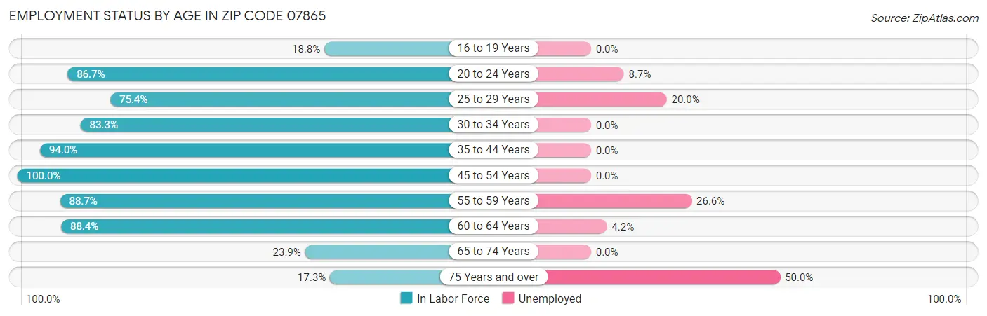 Employment Status by Age in Zip Code 07865