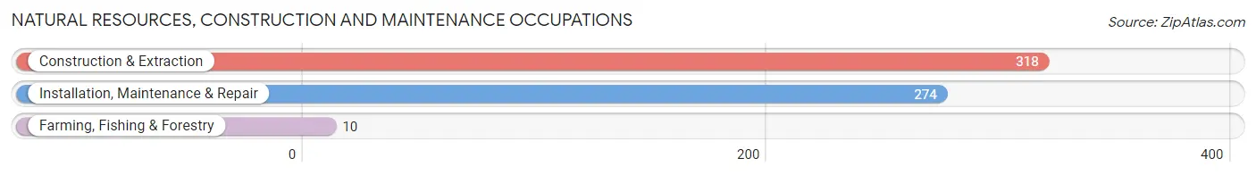 Natural Resources, Construction and Maintenance Occupations in Zip Code 07866