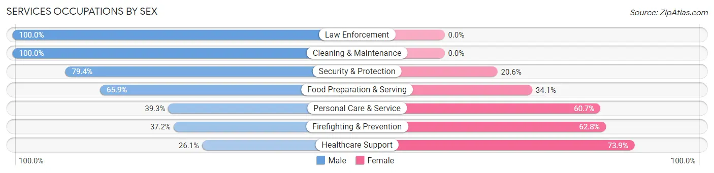 Services Occupations by Sex in Zip Code 07874