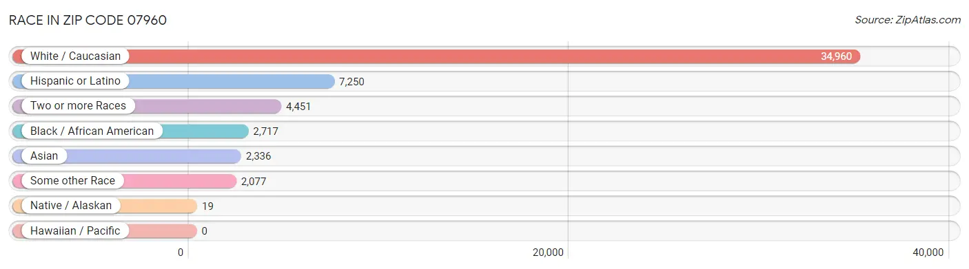 Race in Zip Code 07960