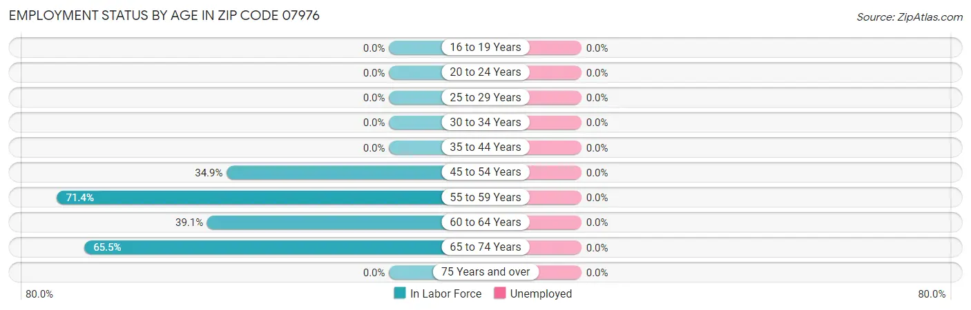 Employment Status by Age in Zip Code 07976