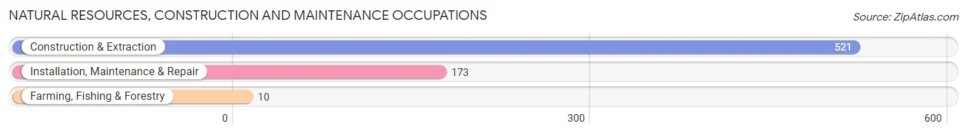 Natural Resources, Construction and Maintenance Occupations in Zip Code 08004