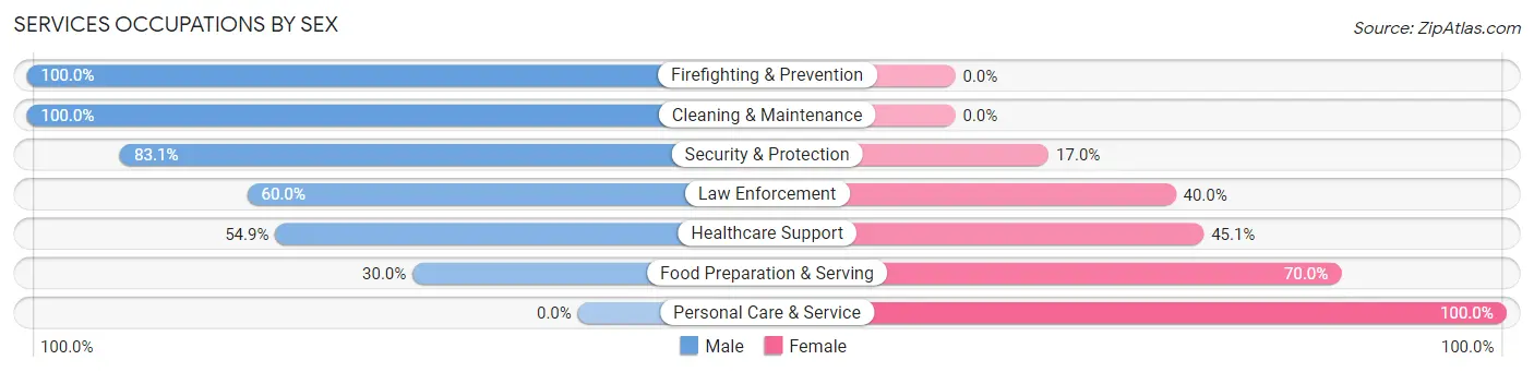 Services Occupations by Sex in Zip Code 08007
