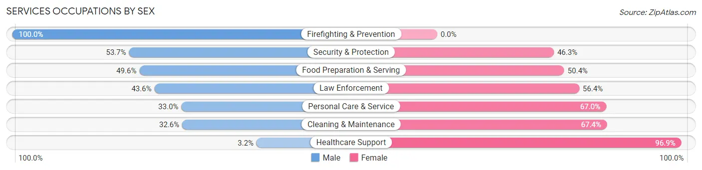 Services Occupations by Sex in Zip Code 08010