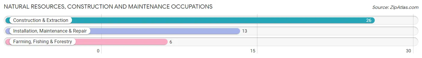 Natural Resources, Construction and Maintenance Occupations in Zip Code 08019