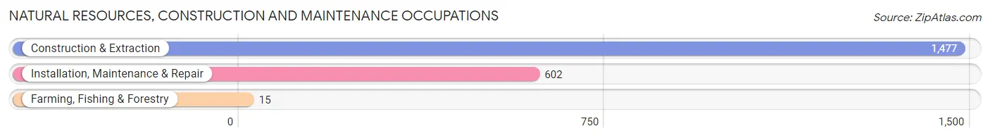 Natural Resources, Construction and Maintenance Occupations in Zip Code 08021