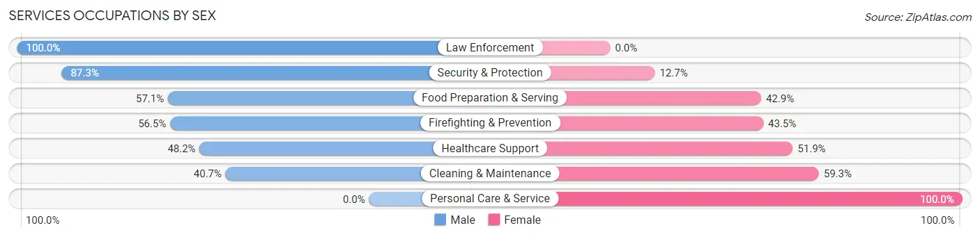 Services Occupations by Sex in Zip Code 08027
