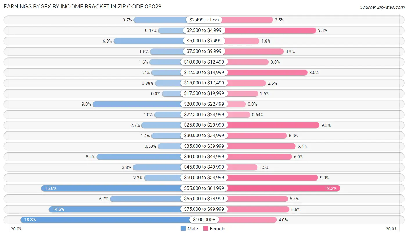 Earnings by Sex by Income Bracket in Zip Code 08029