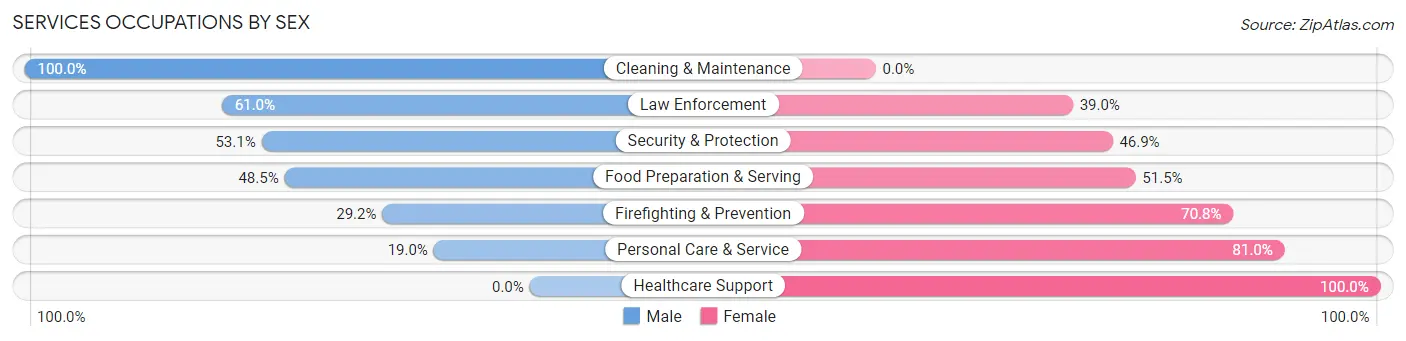 Services Occupations by Sex in Zip Code 08029