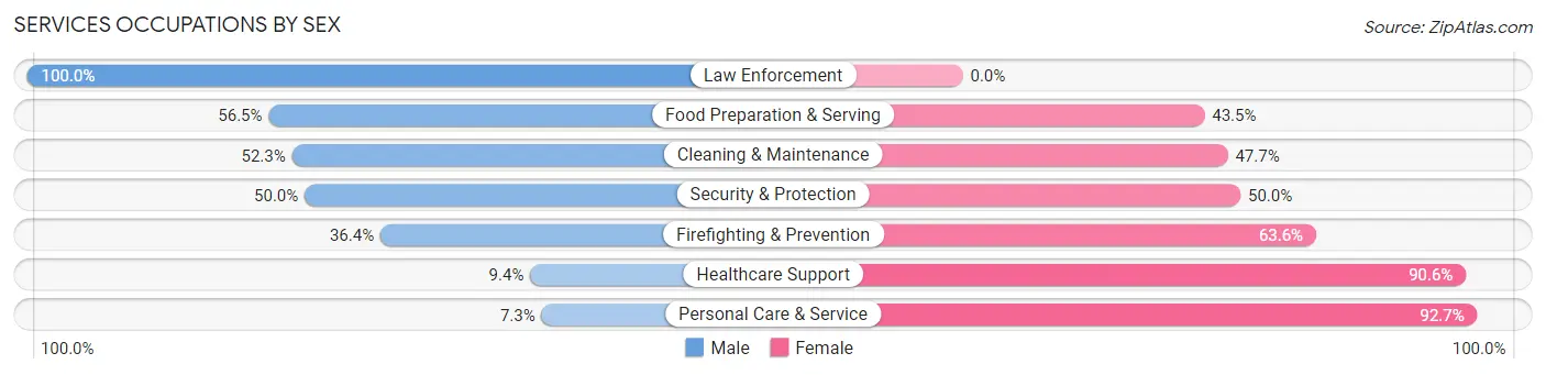 Services Occupations by Sex in Zip Code 08030