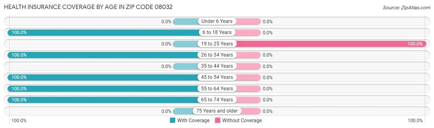 Health Insurance Coverage by Age in Zip Code 08032