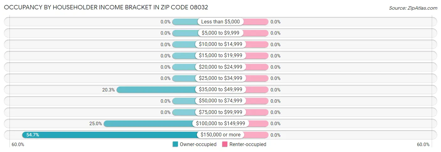 Occupancy by Householder Income Bracket in Zip Code 08032