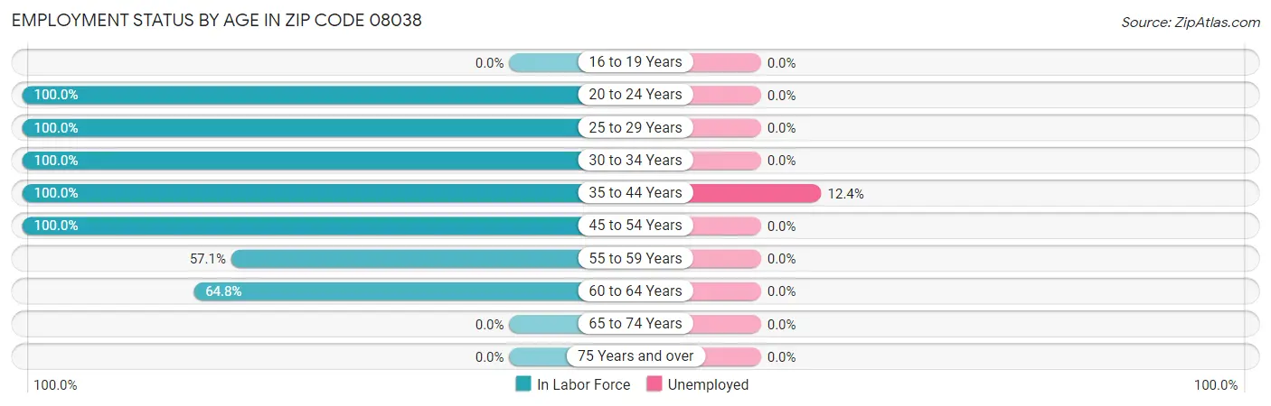 Employment Status by Age in Zip Code 08038