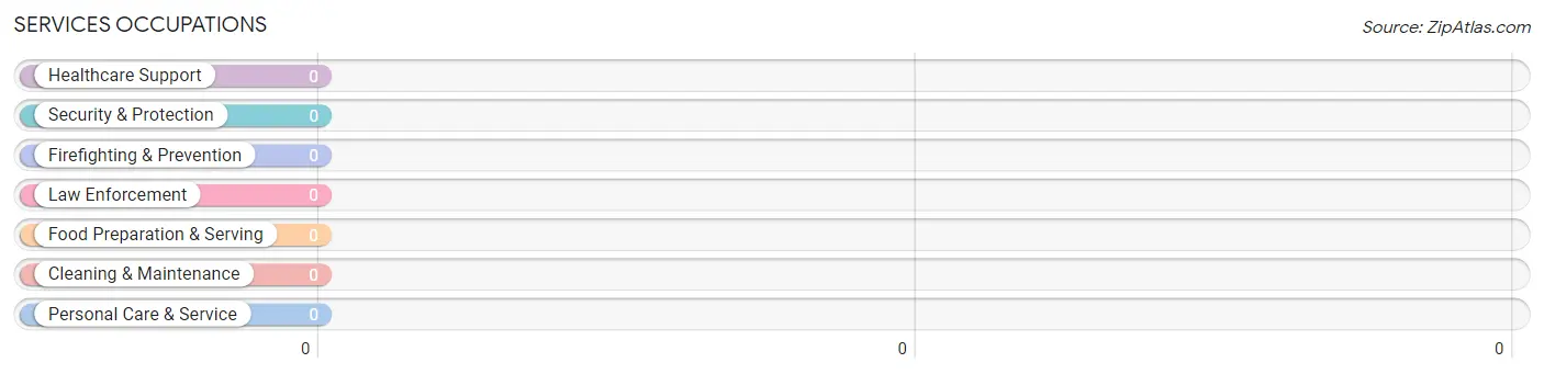 Services Occupations in Zip Code 08042