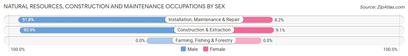 Natural Resources, Construction and Maintenance Occupations by Sex in Zip Code 08051