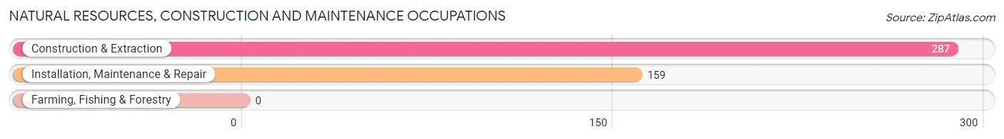 Natural Resources, Construction and Maintenance Occupations in Zip Code 08051