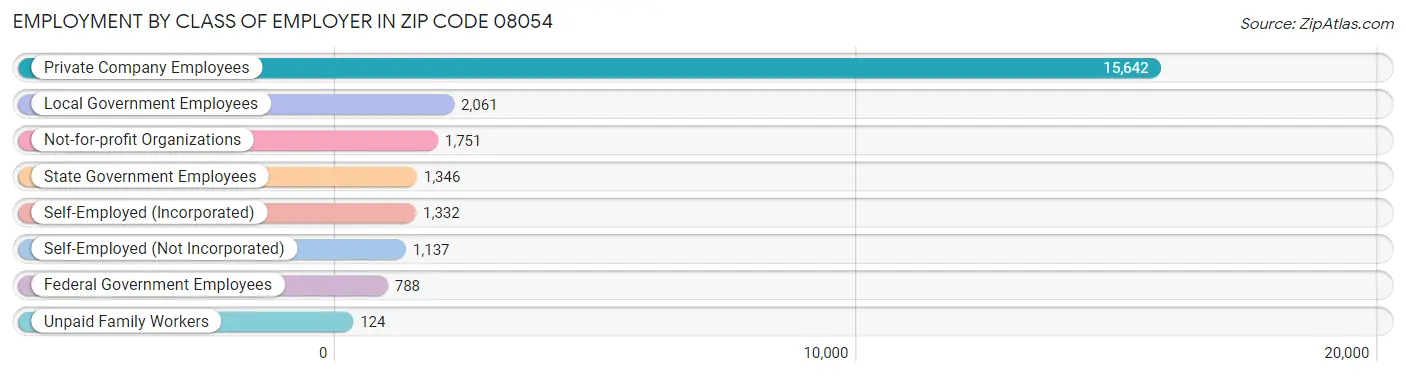 Employment by Class of Employer in Zip Code 08054