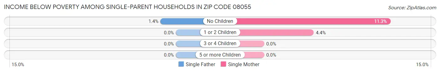 Income Below Poverty Among Single-Parent Households in Zip Code 08055