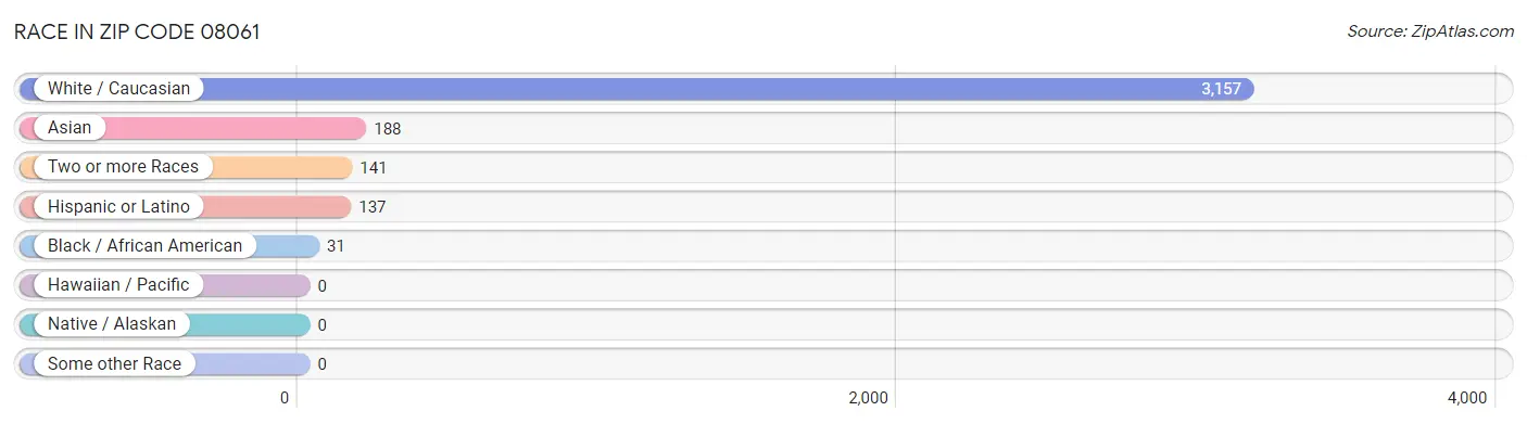 Race in Zip Code 08061