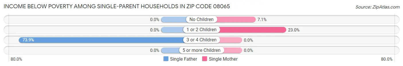 Income Below Poverty Among Single-Parent Households in Zip Code 08065