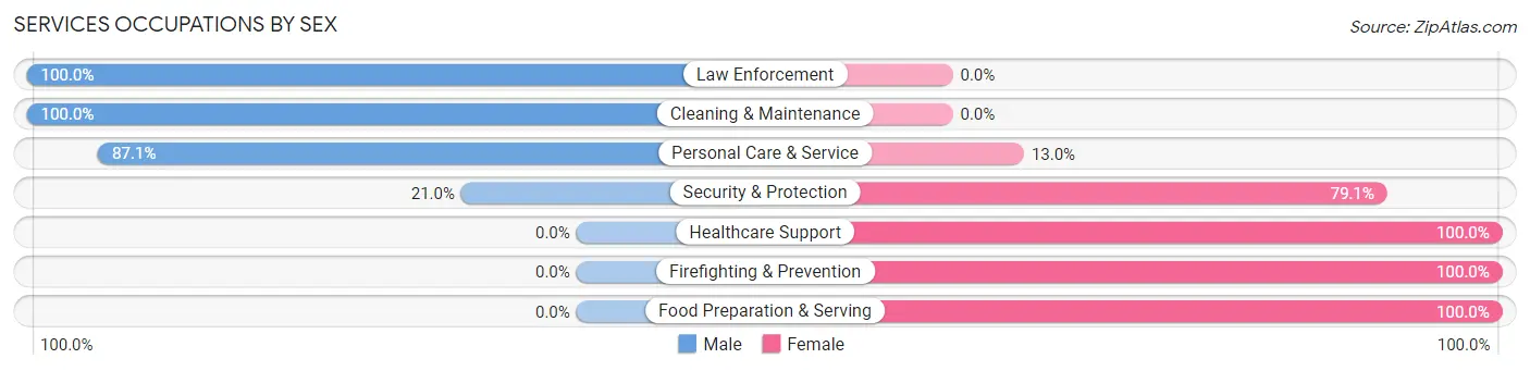 Services Occupations by Sex in Zip Code 08066