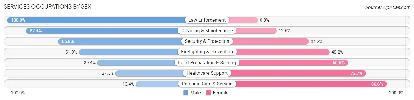Services Occupations by Sex in Zip Code 08078