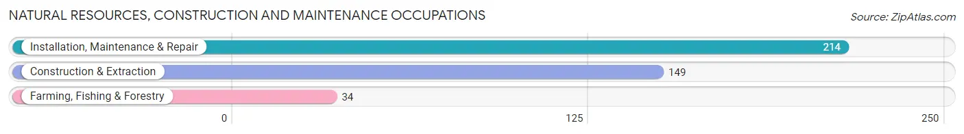 Natural Resources, Construction and Maintenance Occupations in Zip Code 08079