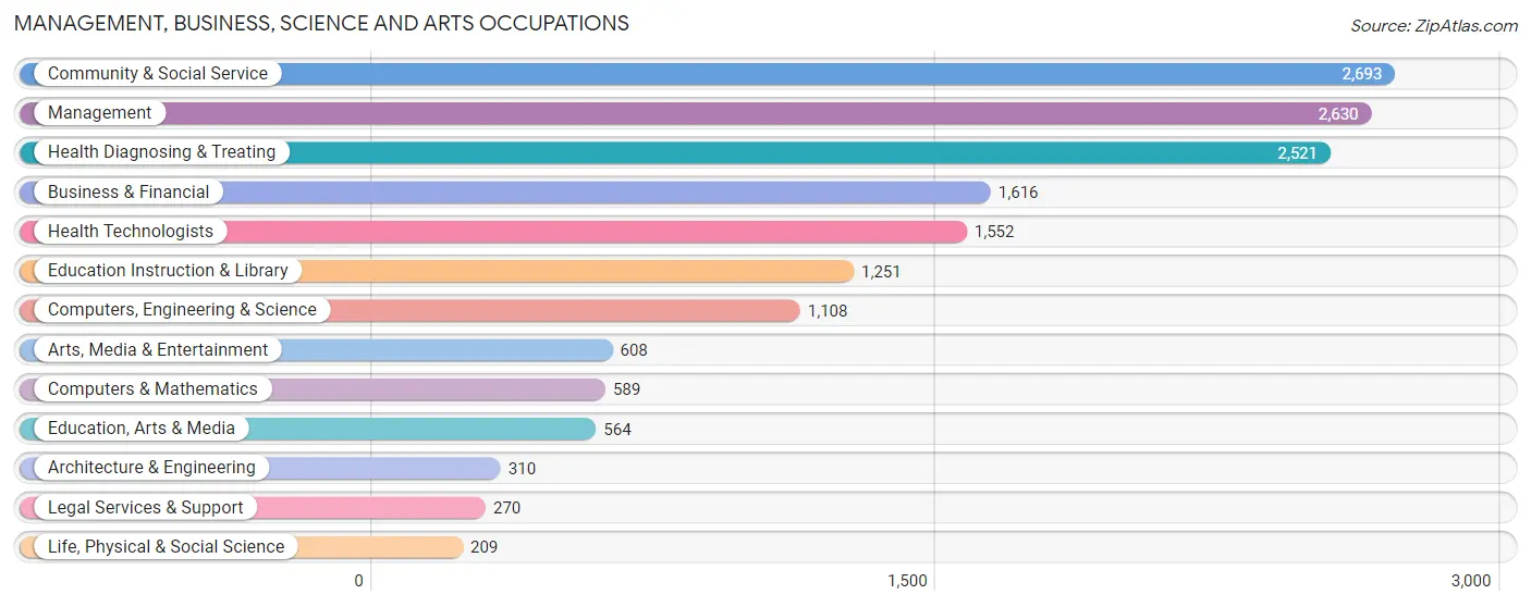 Management, Business, Science and Arts Occupations in Zip Code 08081