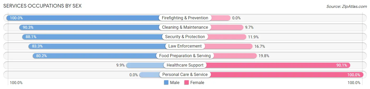 Services Occupations by Sex in Zip Code 08084