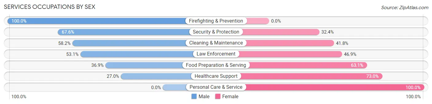 Services Occupations by Sex in Zip Code 08093