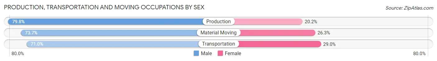 Production, Transportation and Moving Occupations by Sex in Zip Code 08094
